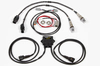 Haltech WB2 - Dual Channel CAN O2 Wideband Controller Kit - Xenocron Tuning Solutions